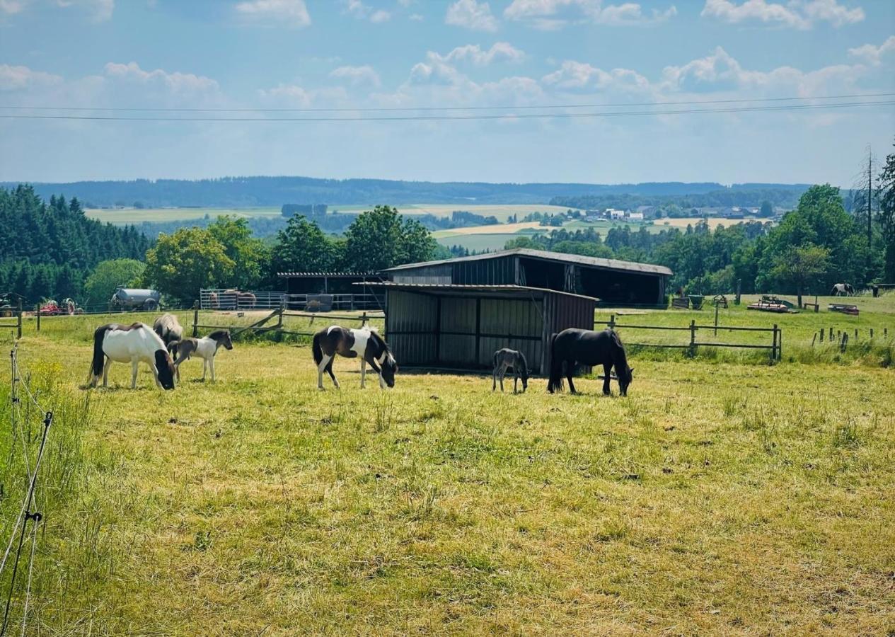 Ferienwohnung Eifel Hümmel 外观 照片
